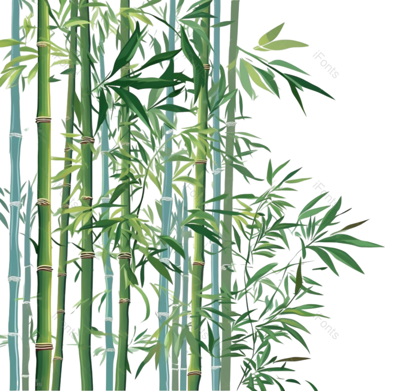 节日图片,竹叶元素,插画PNG,竹子免抠素材